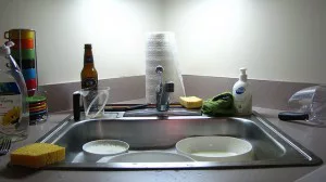 house-guest-complaints