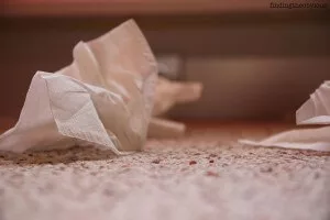 tissues
