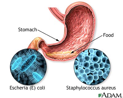 Without Proper Hygiene, Food Poisoning Possible From Dining On The Desktop