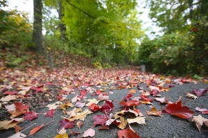 Photo by: Ed Schipul (Flickr)