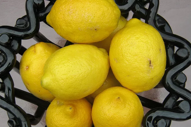 When Life Gives You Lemons, Use Them in These 14 Amazing Ways.