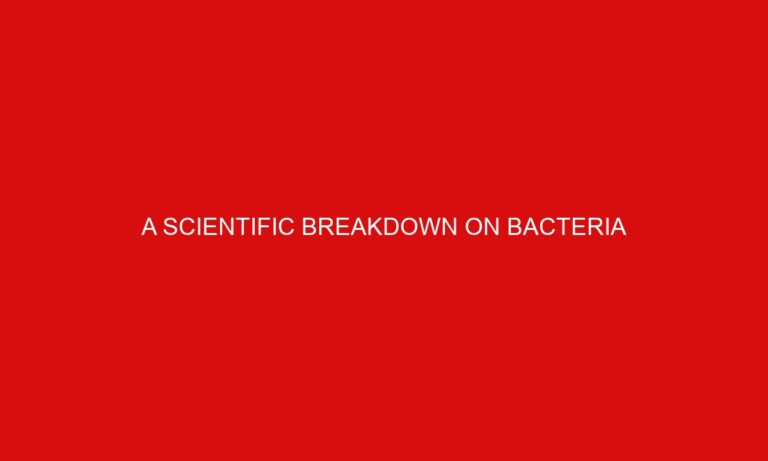 A Scientific Breakdown on Bacteria