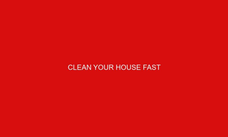 Clean Your House Fast