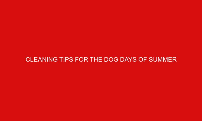 Cleaning Tips For The Dog Days Of Summer