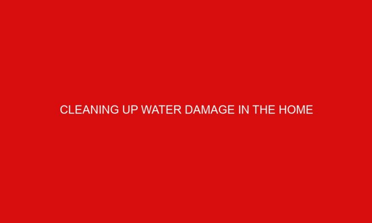 Cleaning Up Water Damage in the Home