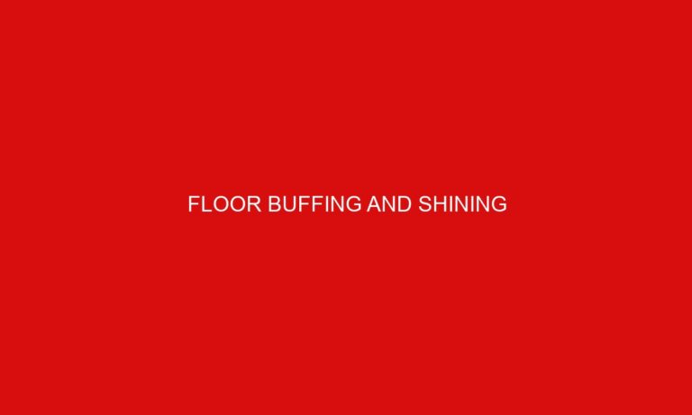 Floor Buffing and Shining