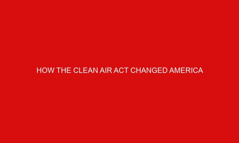 How The Clean Air Act Changed America