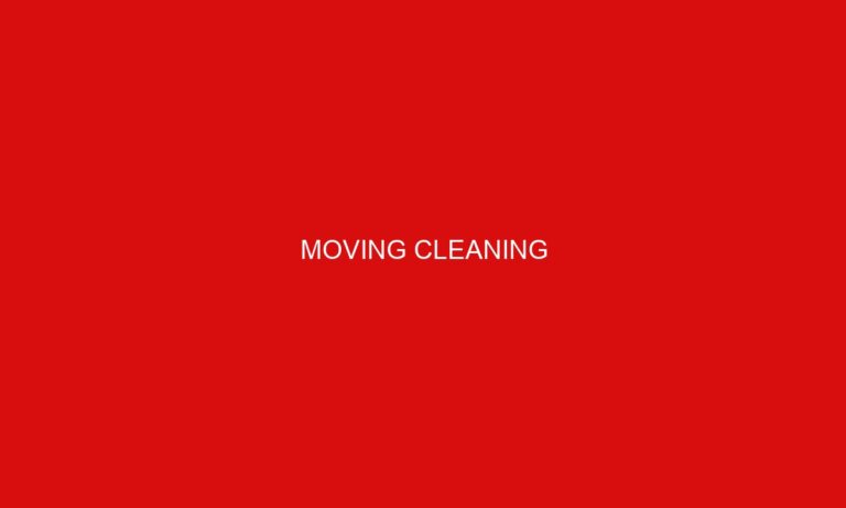 Moving Cleaning