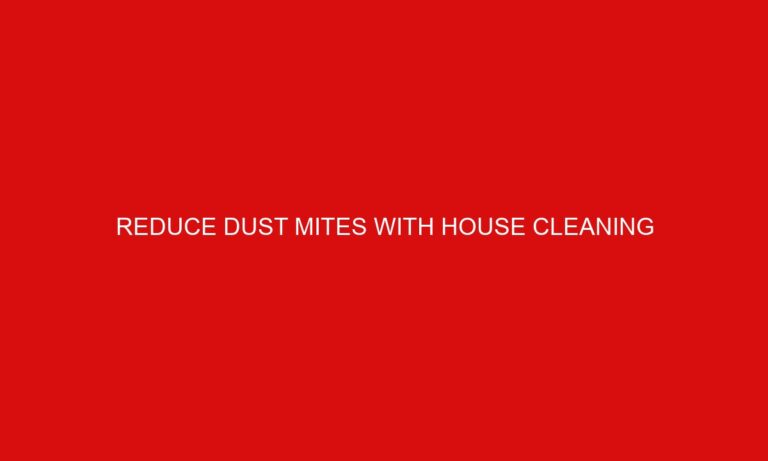 Reduce Dust Mites With House Cleaning