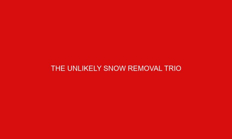 The Unlikely Snow Removal Trio