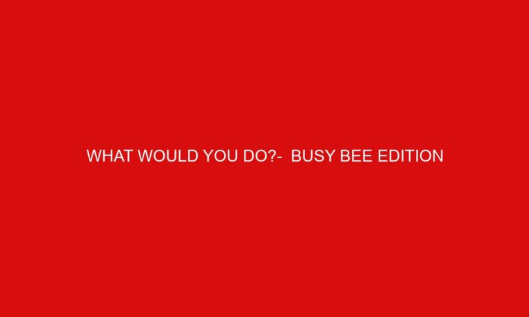 What would you do?-  Busy Bee Edition