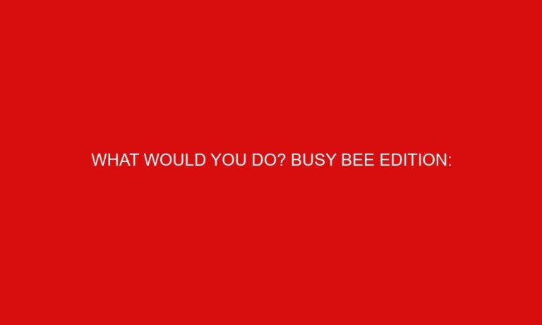 What Would You Do? Busy Bee Edition: