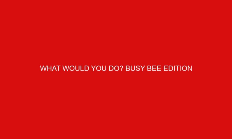 What would you do? Busy Bee Edition