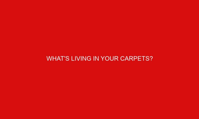 What’s Living In Your Carpets?
