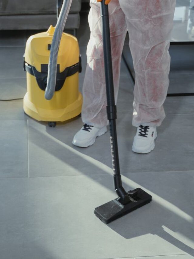 cleaner with a professional vacuum cleaner