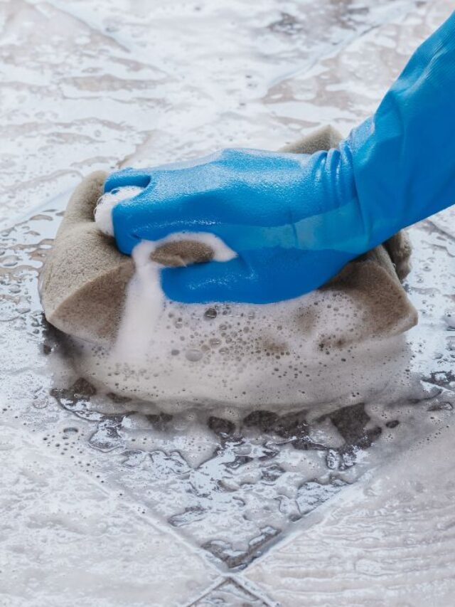 The Chemistry of Cleaning Soaps
