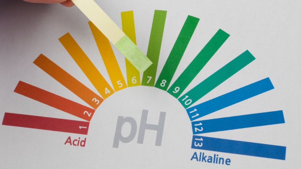 ph-scale-on-paper